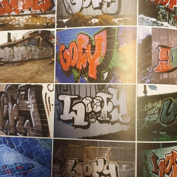 Oslo Graffiti (2022) [Bok]