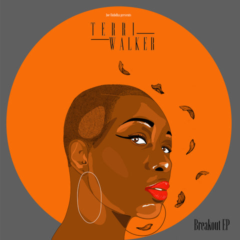 Terri Walker - Breakout EP Vinyl