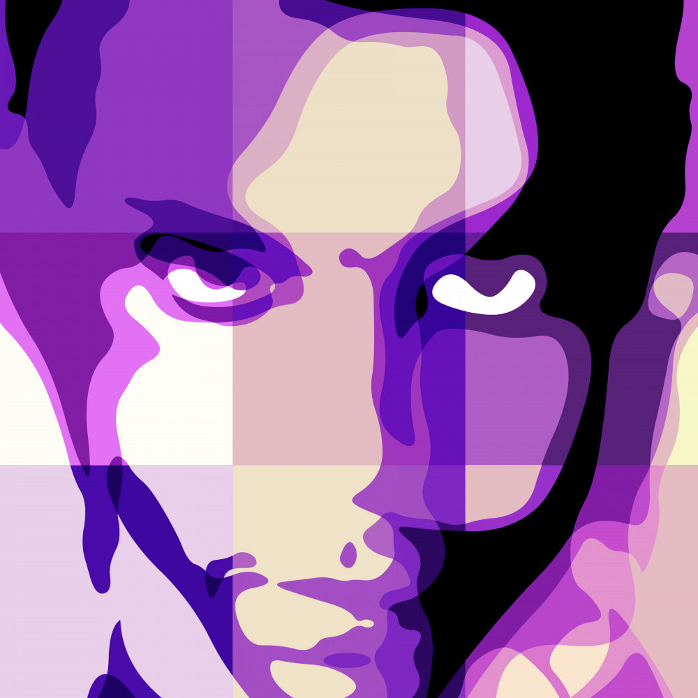 Various Artists "Shockadelica" (Prince Tribute) [LP]